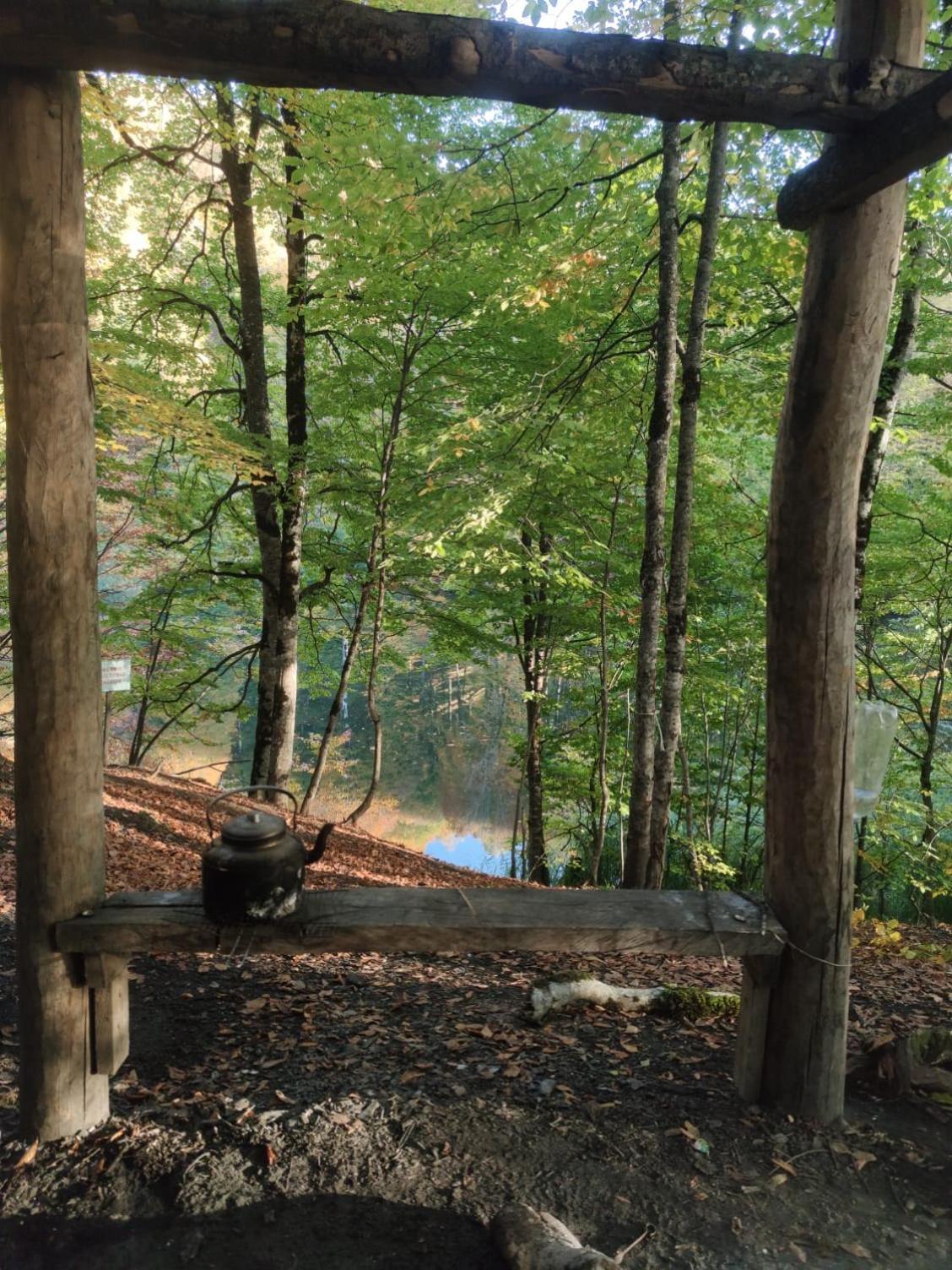 Dream Domes Luxury Glamping Tents * Gabala